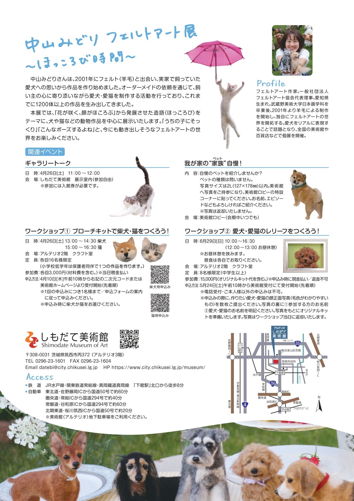 Image in a image block