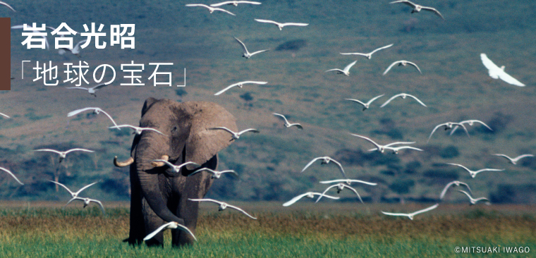 Image in a image block