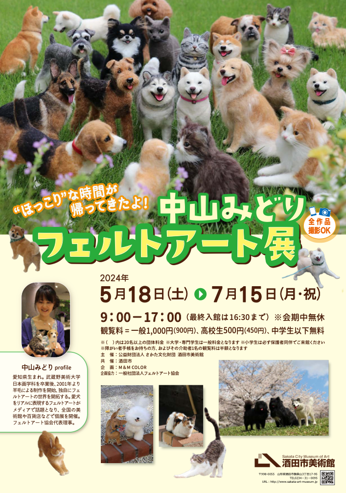 Image in a image block