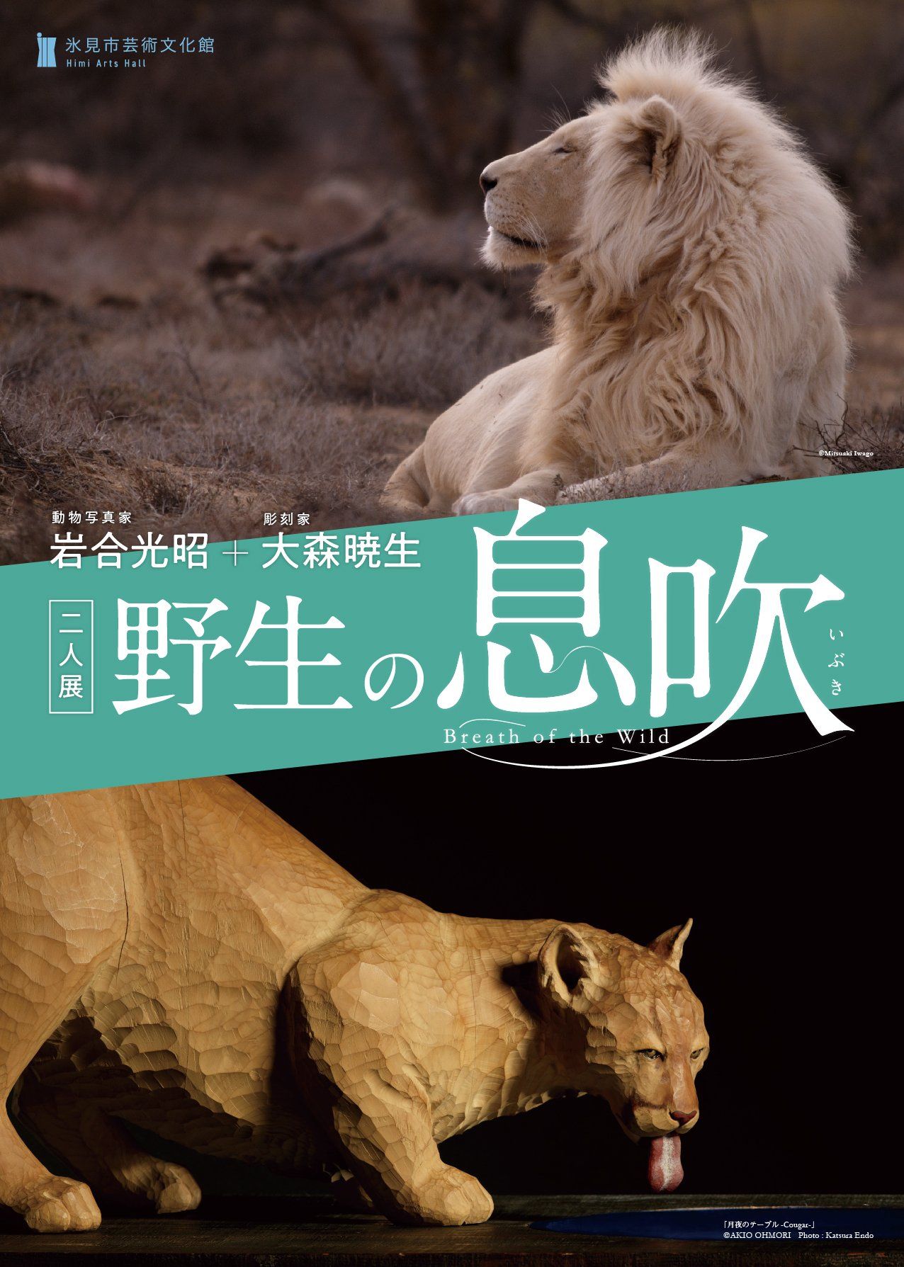 Featured image of the post