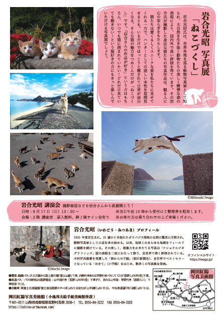 Image in a image block