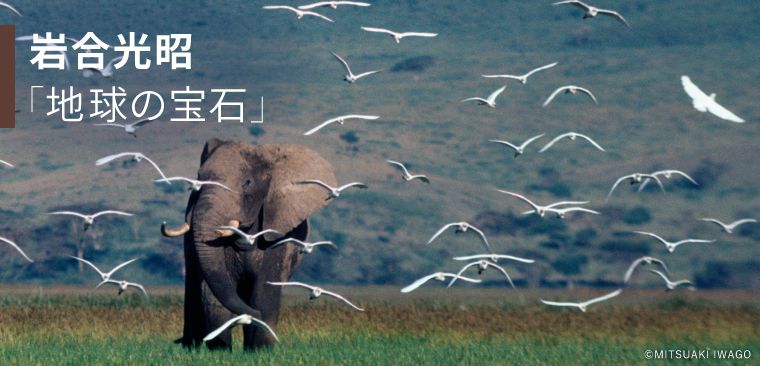 Featured image of the post