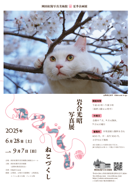 Image in a image block