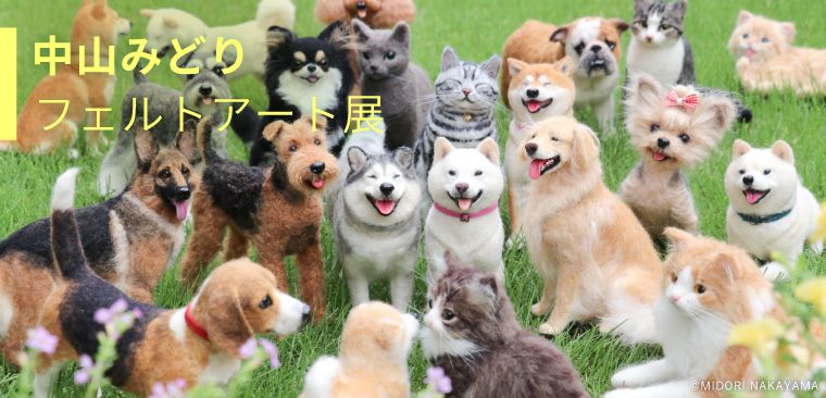 Featured image of the post