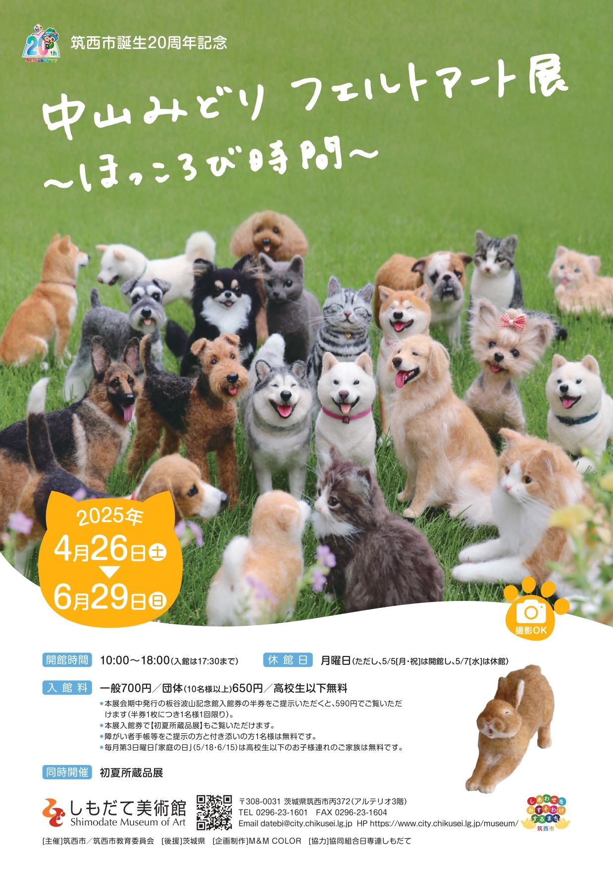 Image in a image block