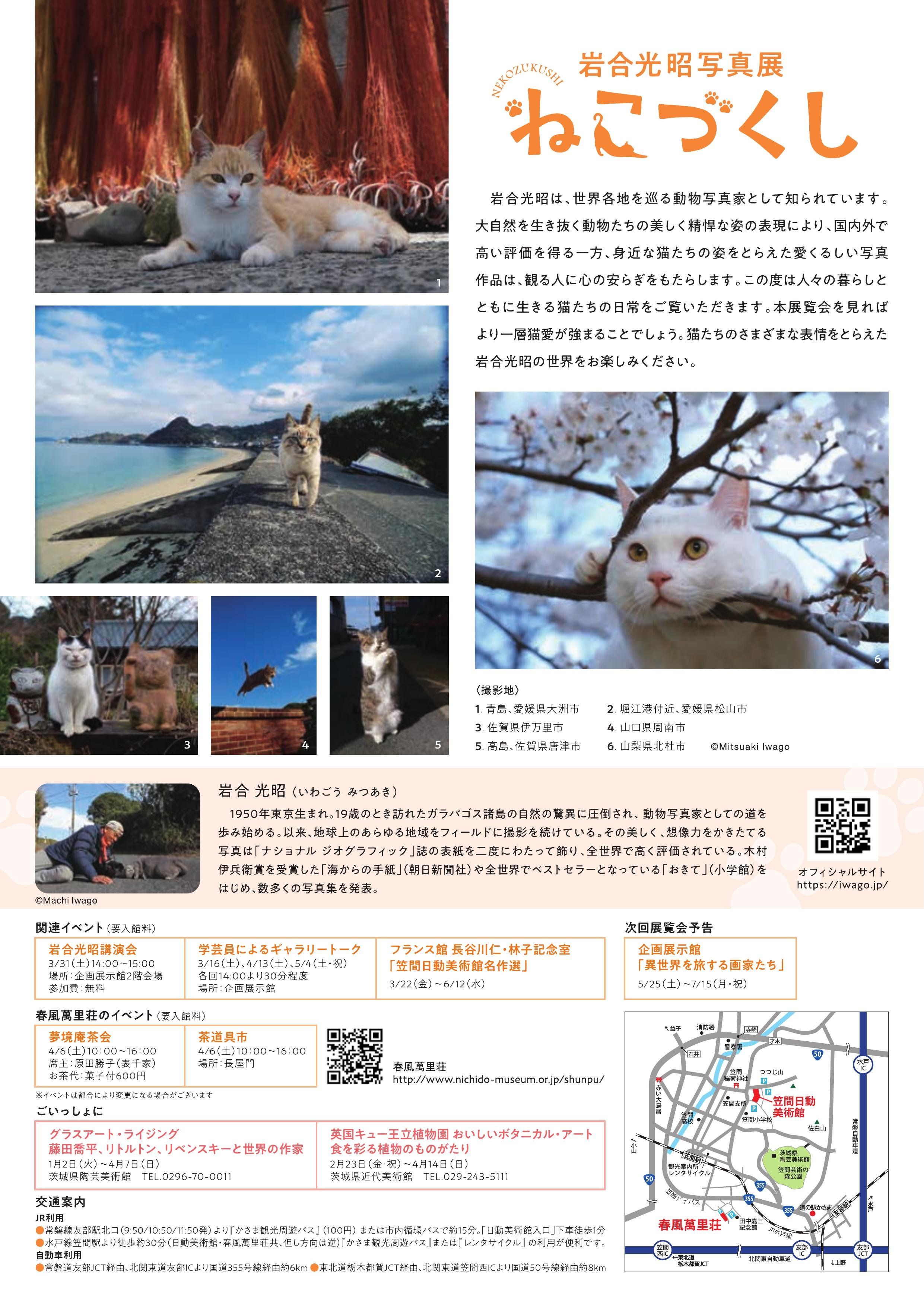 Image in a image block