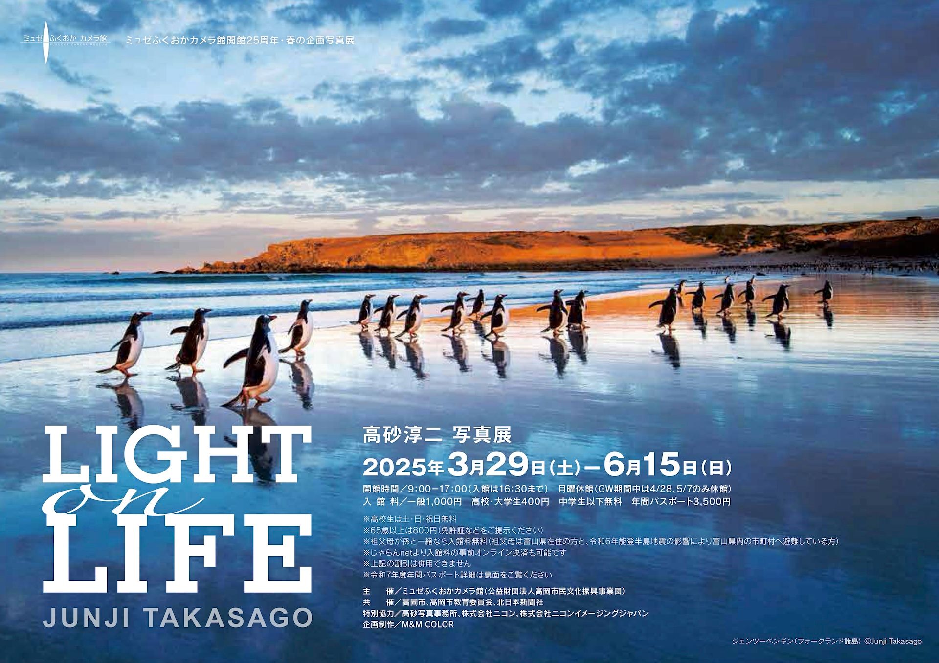 Image in a image block